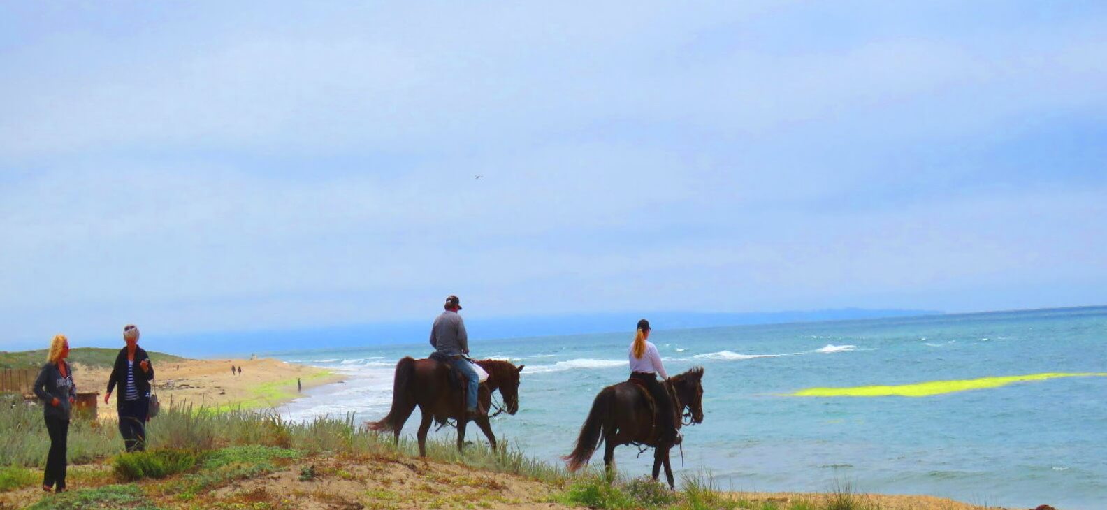 Paseos-a-caballo-por-San- Francisco.jpg